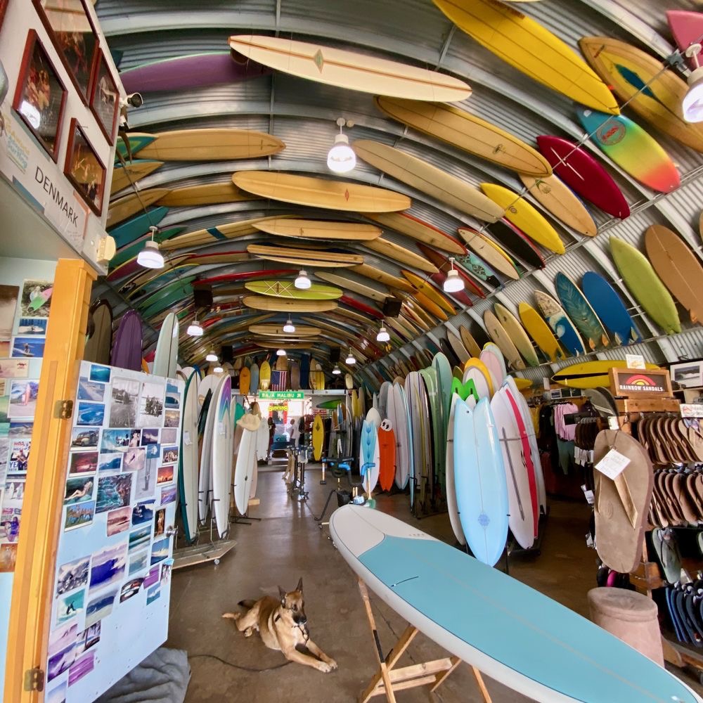 Surfing — Pacific Beach San Diego