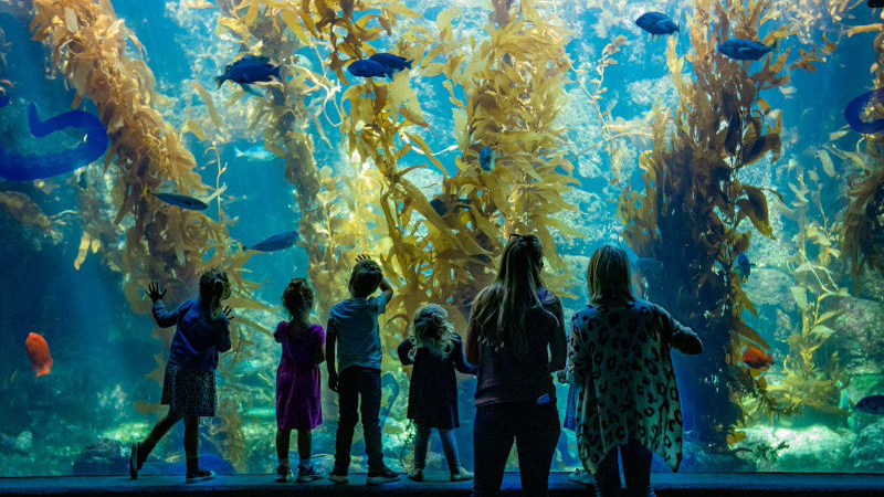Birch Aquarium at Scripps — La Jolla ocean science and tide pools
