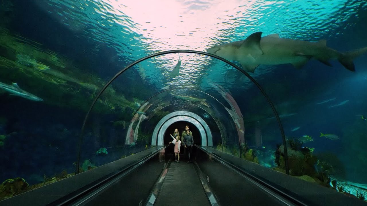 SeaWorld San Diego