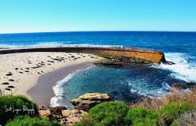 Children's Cove La Jolla