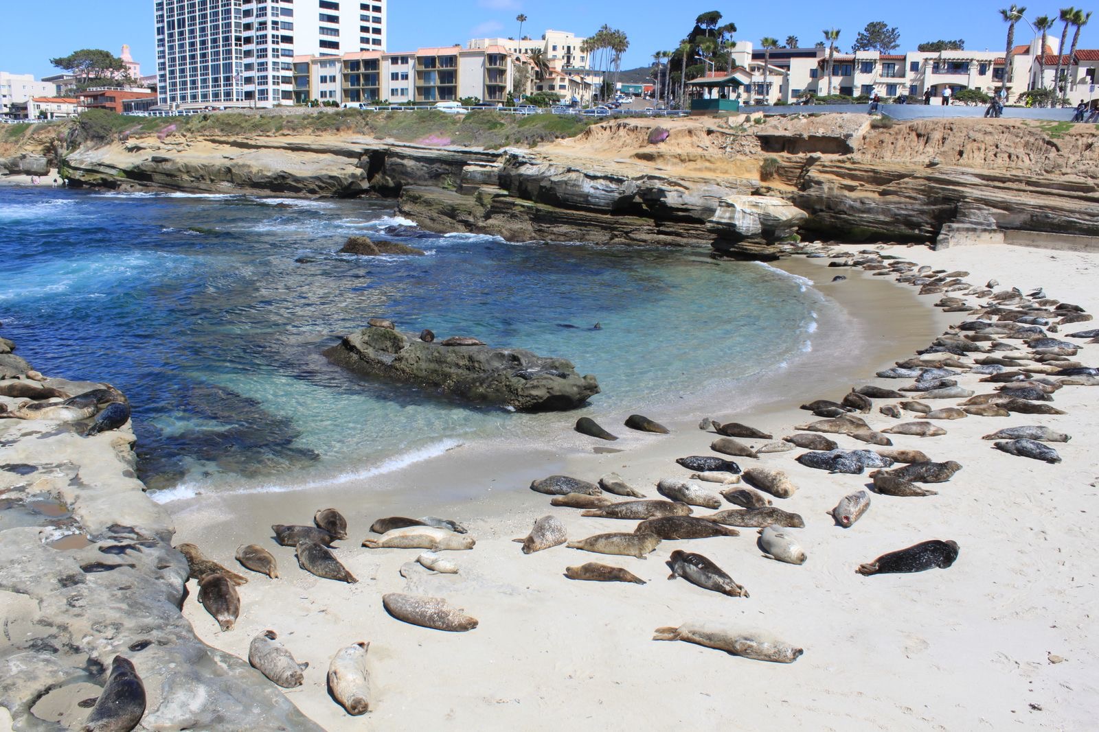 Children's Cove La Jolla