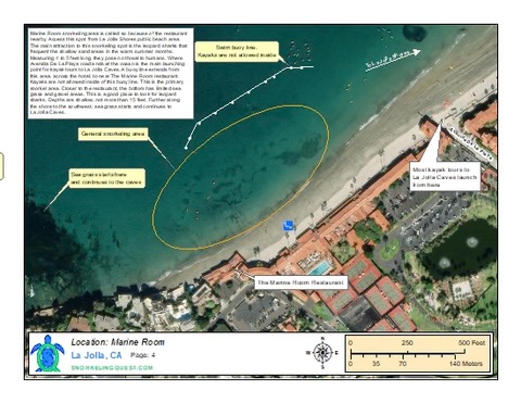 Snorkeling — San Diego