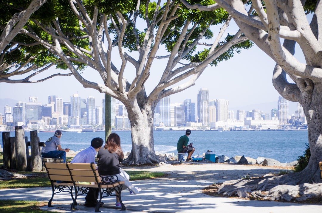 Harbor Island — San Diego marina and bay views